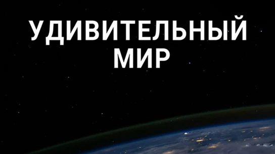 Удивительный мир