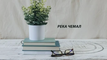 Река Чемал