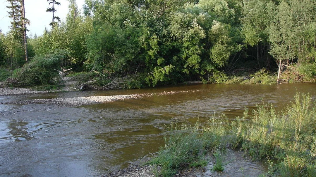Фильм Там, где течёт Амгунь