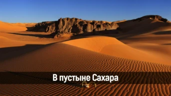 В пустыне Сахара