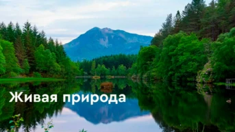 Живая Природа