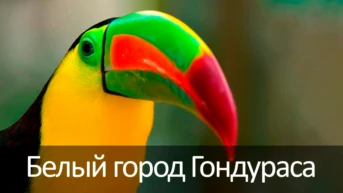 Белый город Гондураса