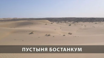 Пустыня Бостанкум