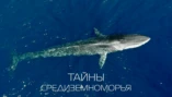 В сердце Мессинского пролива