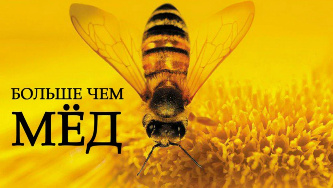 Фильм Больше чем мёд