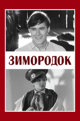 Зимородок