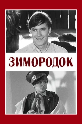 Зимородок