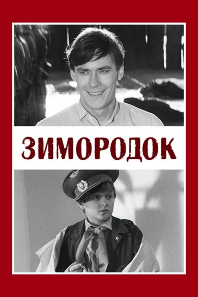 Зимородок