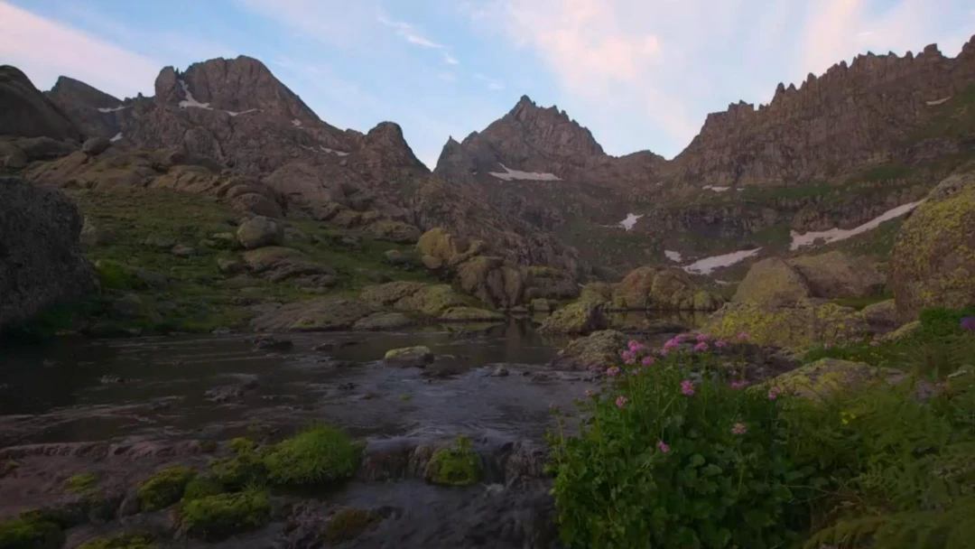 Передача Самегрело