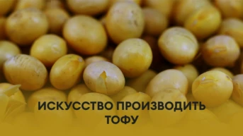 Искусство производить тофу