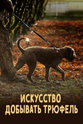 Искусство добывать трюфель