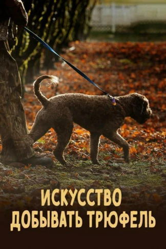 Искусство добывать трюфель