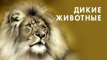 Мир дикой природы