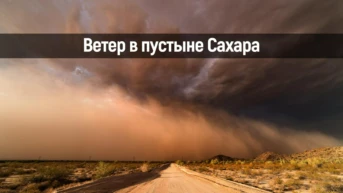 Ветер в пустыне Сахара