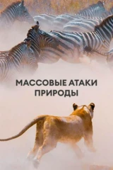 Массовые атаки природы