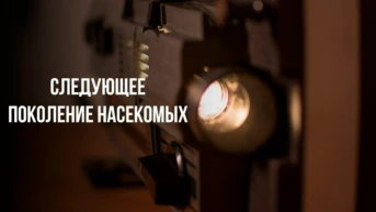 Следующее поколение насекомых