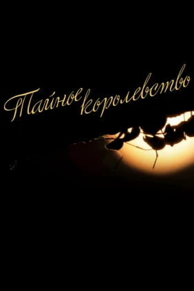 Тайное королевство