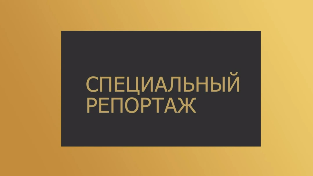 Передача Специальный репортаж