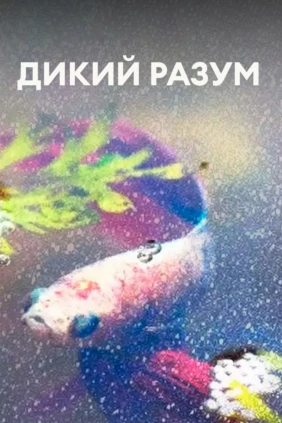 Дикий разум