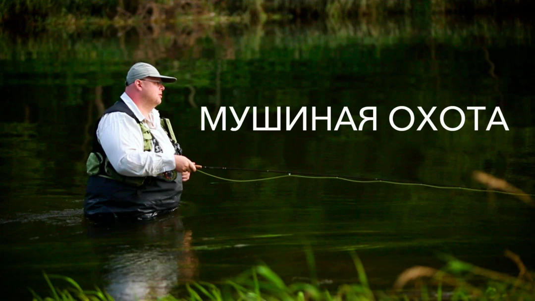 Передача Мушиная охота