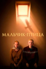 Мальчик-птица
