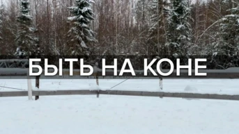 Быть на коне
