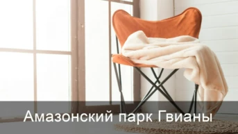 Амазонский парк Гвианы