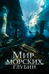 Мир морских глубин