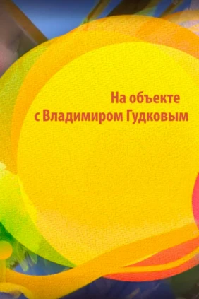 На объекте с Владимиром Гудковым