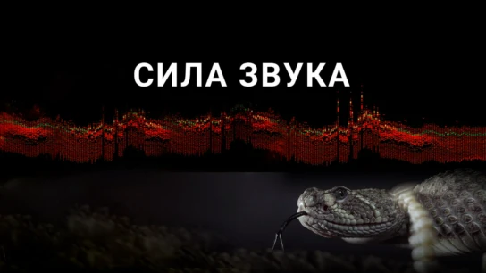Сила звука