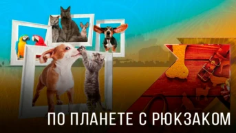 По планете с рюкзаком