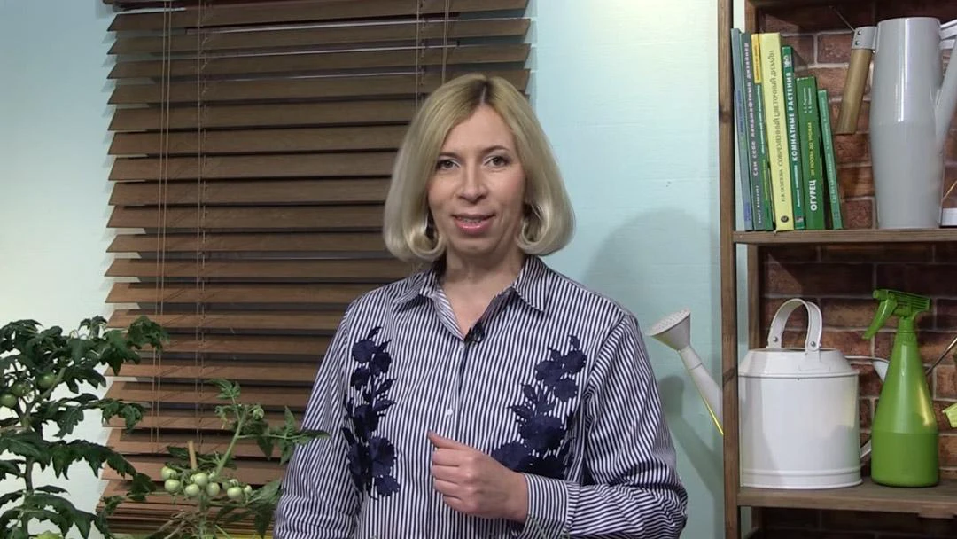 Передача Дачные сезоны