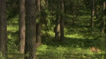 Северный ветер Серия 6