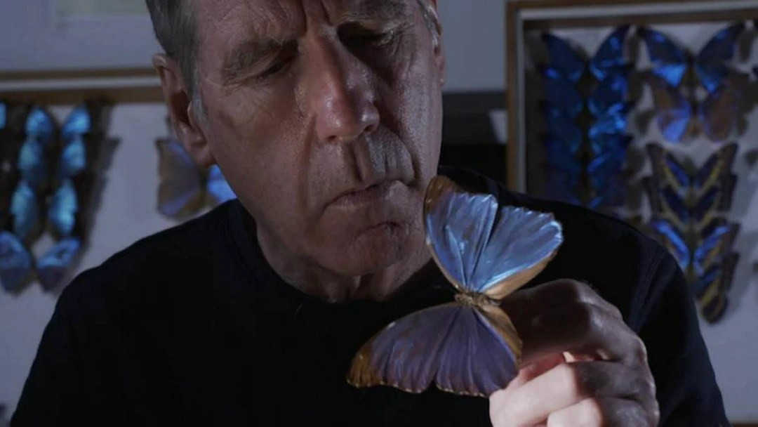 Передача Наука на крыльях бабочки