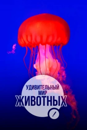 Удивительный мир животных