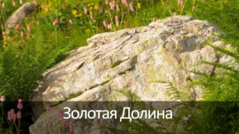 Золотая Долина