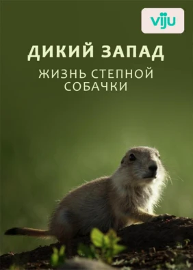 Дикий Запад: Жизнь степной собачки
