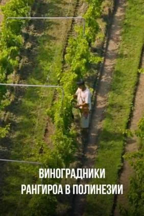 Виноградники Рангироа в Полинезии