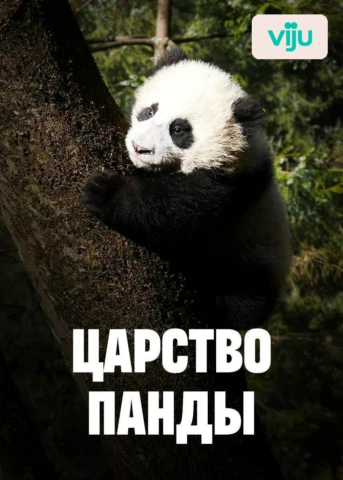 1 серия