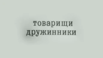 Товарищи дружинники