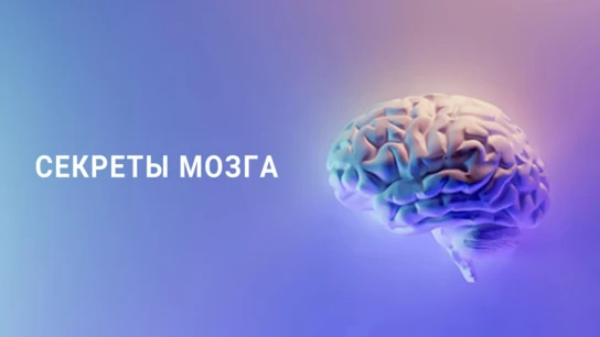 Секреты мозга