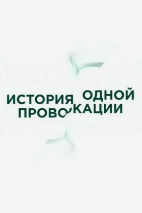 История одной провокации
