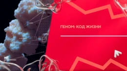 Генная терапия