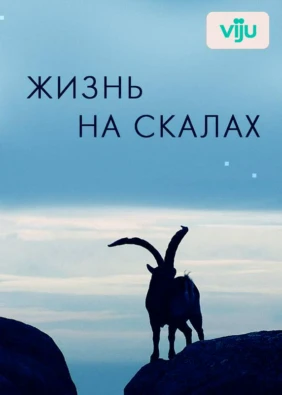 Жизнь на скалах
