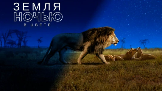 Земля ночью в цвете