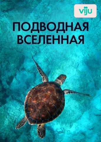 1 серия