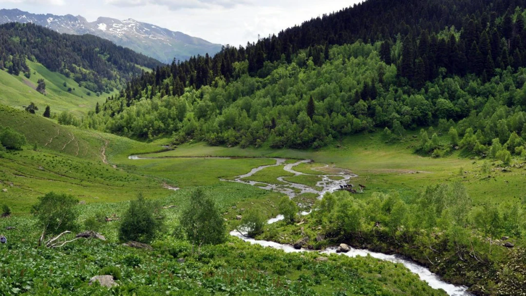 Передача Река Малая Дукка