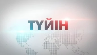 Түйін