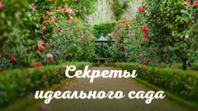 Трейлер 1