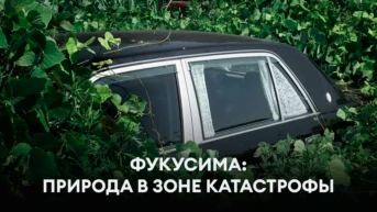 Фукусима: природа в зоне катастрофы